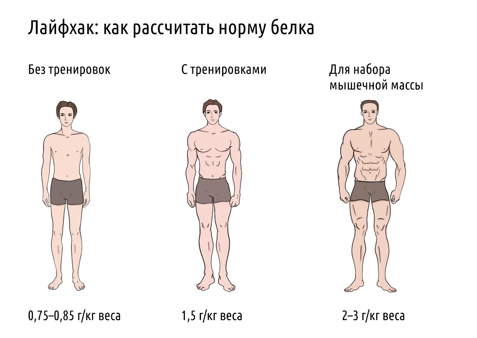 Как пить протеин, как правильно принимать протеин для набора мышечной массы,  дозировка