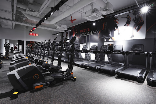 Где бегать в Воронеже: места и маршруты – 12