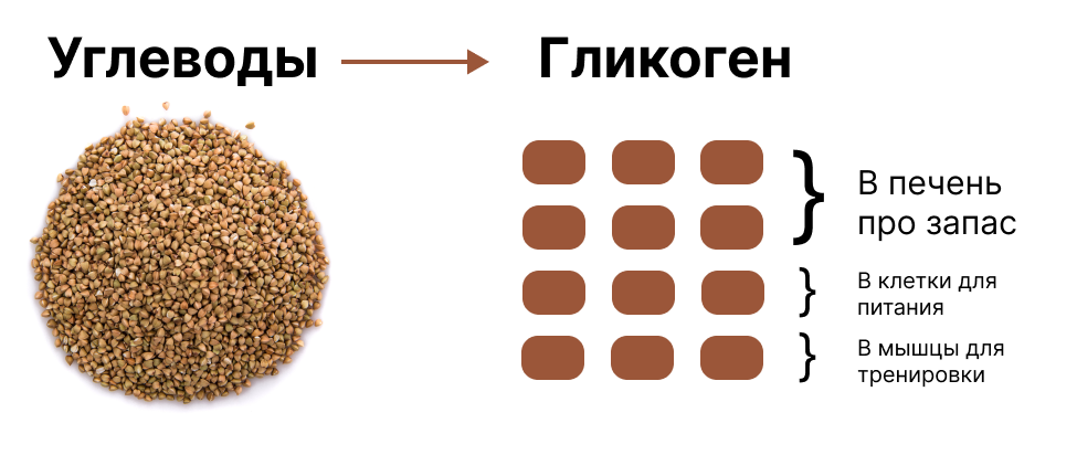 Как составить рацион питания, чтобы начать правильно худеть: рецепты на день – 2