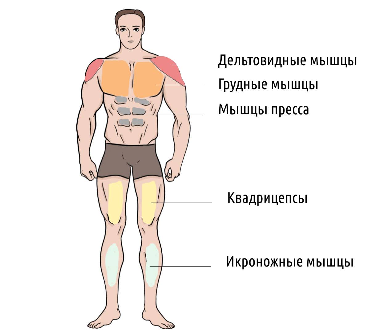 Берпи: что это за упражнение, техника выполнения