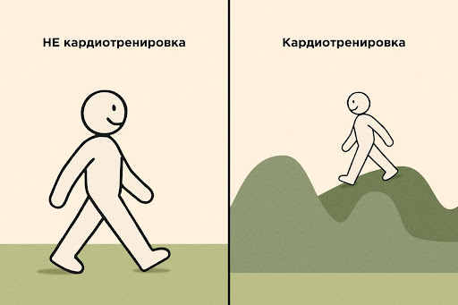 30 минут кардио: в чём польза, сколько калорий можно сжечь и как начать – 2