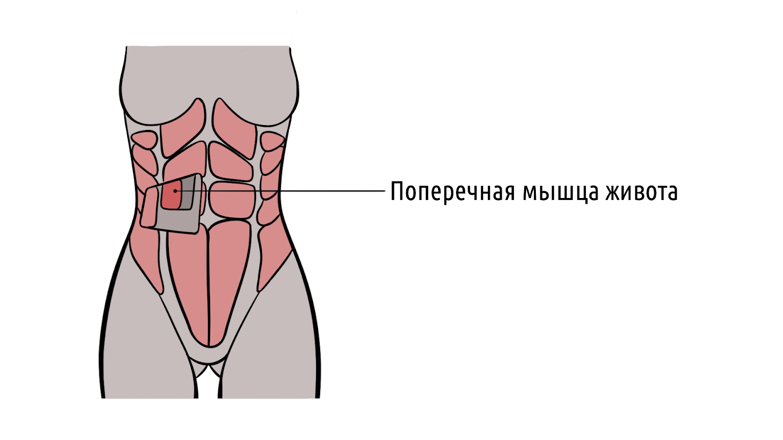 Как делать вакуум живота, чтобы не навредить организму – 1