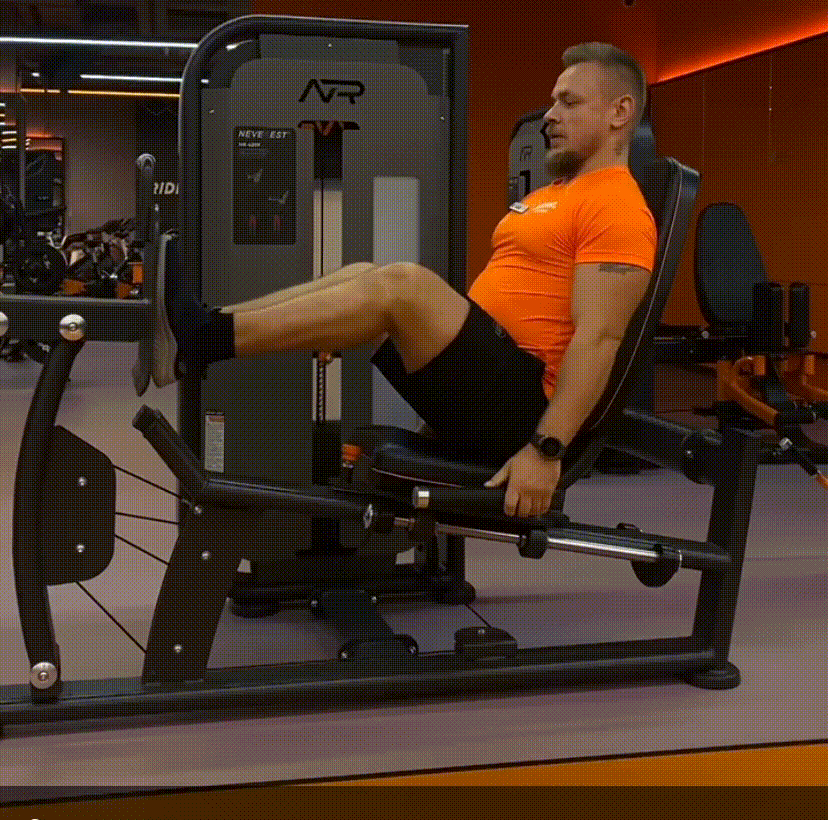 С чего начать тренировки в зале + тренировочный план для начинающих – 1