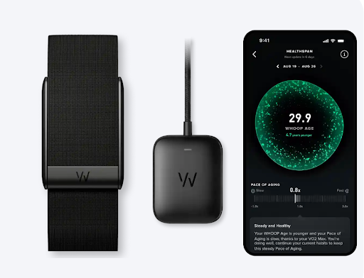 Обзор Whoop: что это за фитнес‑браслет и как его использовать – 1