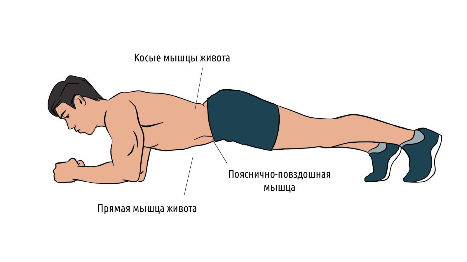 Упражнение «Планка»: как правильно выполнять, и в чём польза – 1
