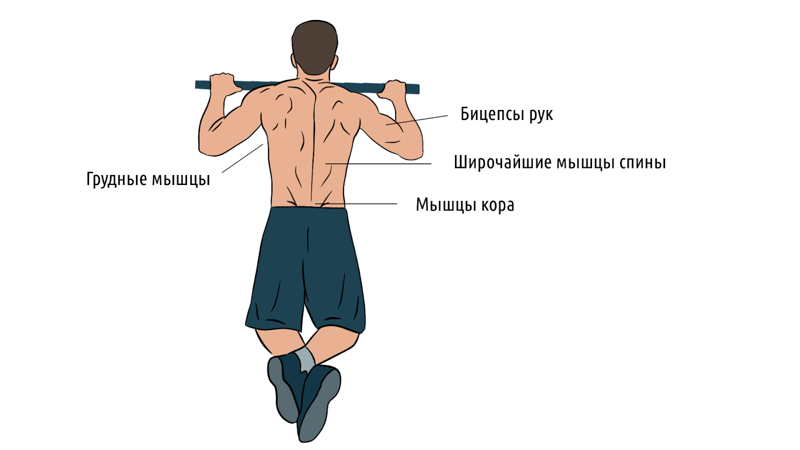 Как правильно подтягиваться, чтобы накачать рельефную спину – 1