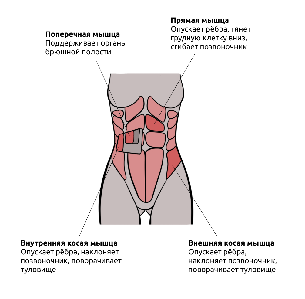 Красивый пресс: упражнения для женщин – 3