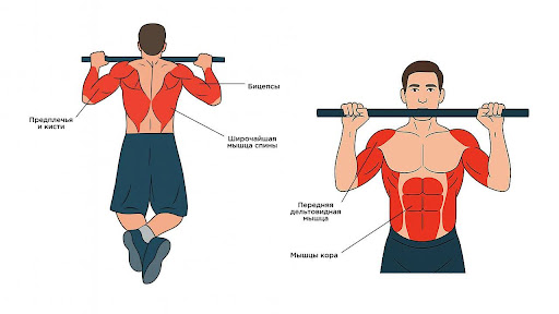 Упражнения на турнике: как правильно заниматься, чтобы прокачать руки и спину – 1