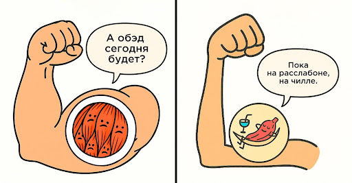 Причины набора веса после 30: гормоны, замедление обмена веществ и как это исправить – 1